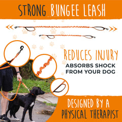 Mighty Paw dog walking setup enables safer, hands-free jogging with your pet.