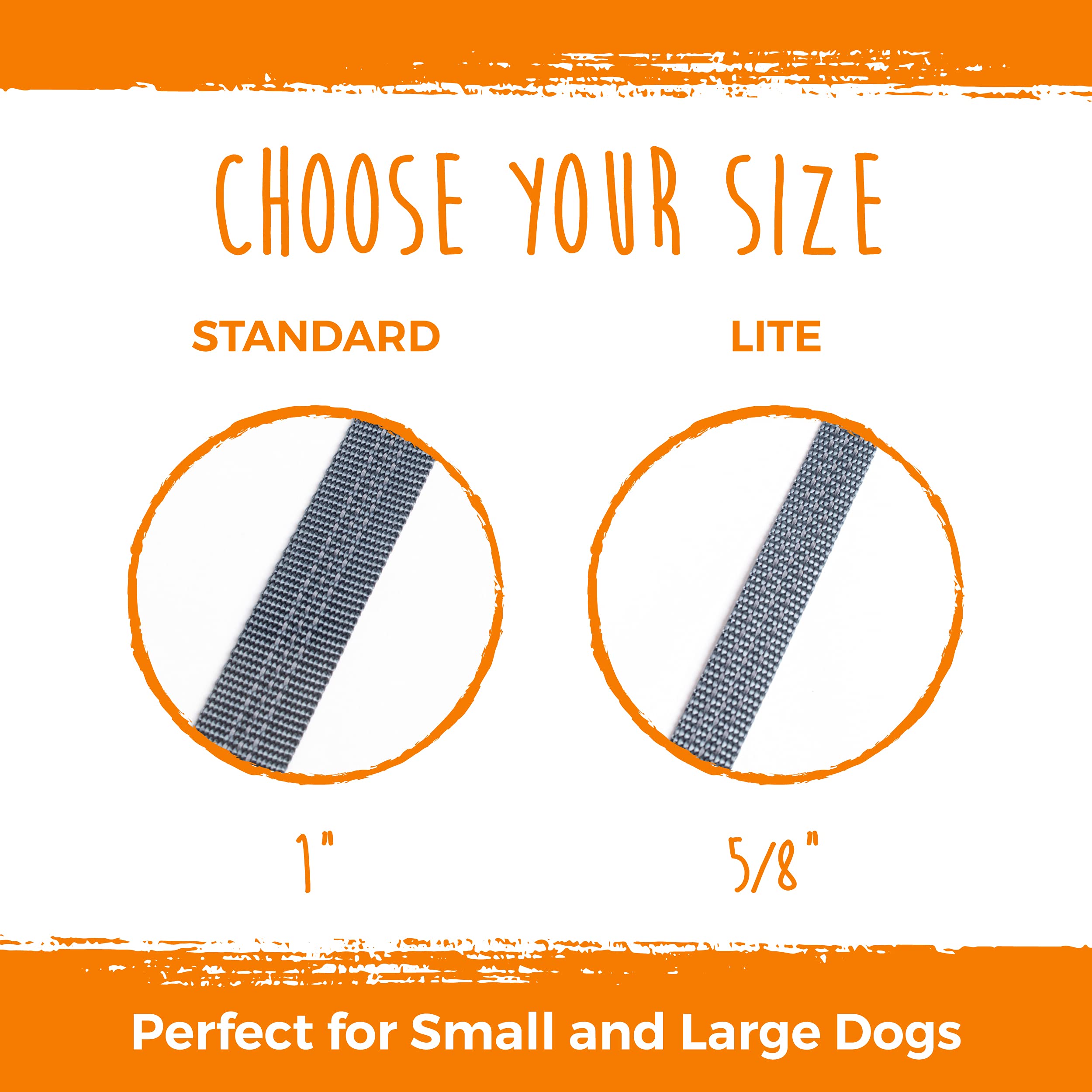 Mighty Paw double leash tangle-free attachment prevents snarls during walks.