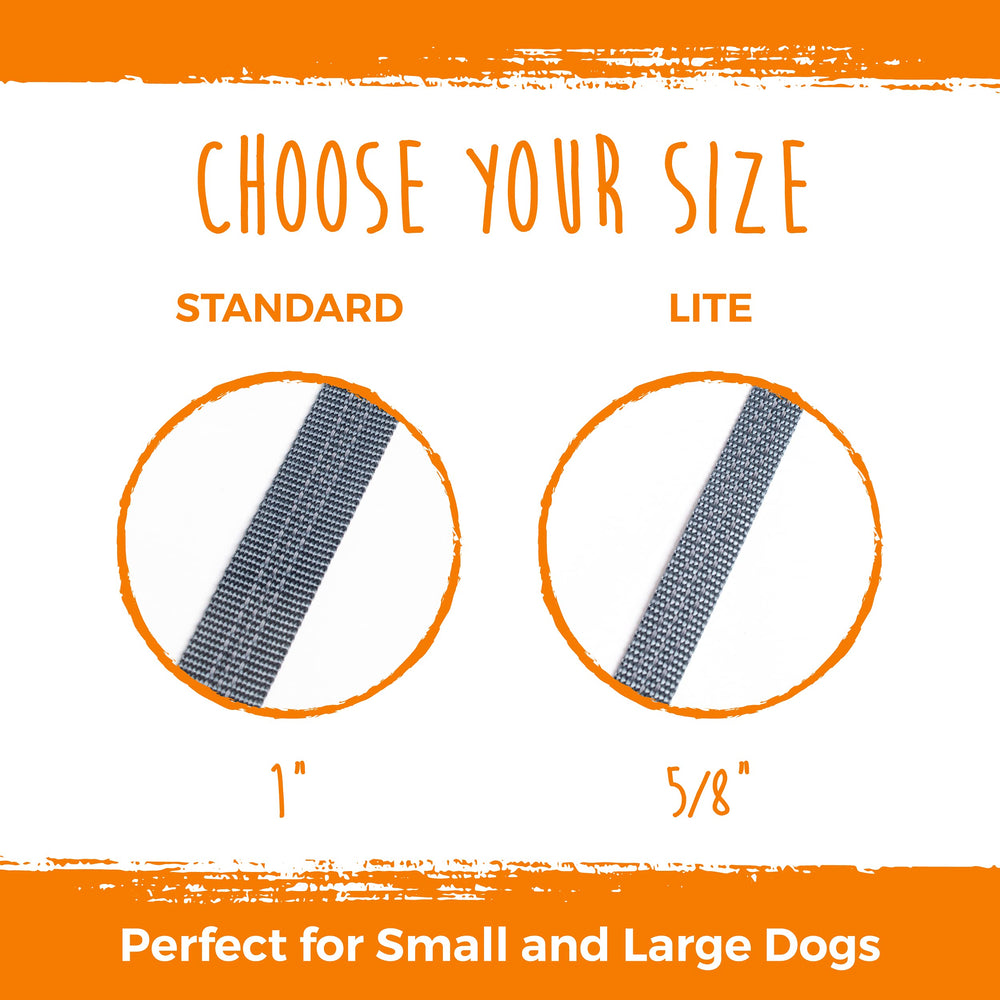 Mighty Paw double leash tangle-free attachment prevents snarls during walks.