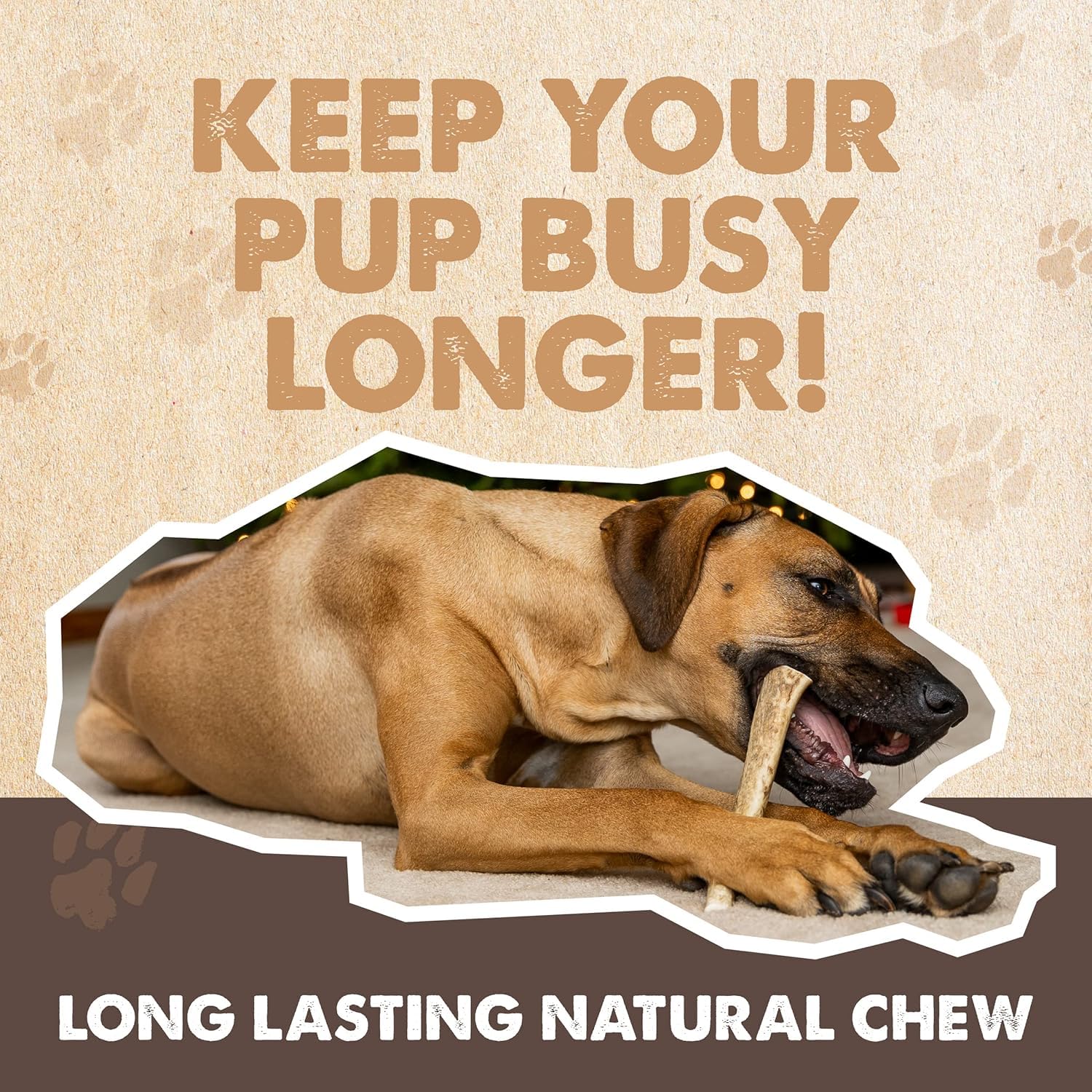 Mighty Paw split elk antlers dog chew – monster size for aggressive chewers and energy redirect.