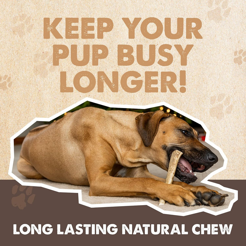 Mighty Paw split elk antlers dog chew – monster size for aggressive chewers and energy redirect.