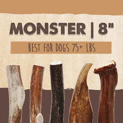 Mighty Paw elk-antlers american-sourced – long-lasting chew supports focused playtime and boredom relief.