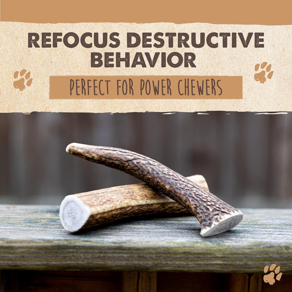 Mighty Paw elk-antlers natural-1-ingredient – no additives, promotes natural chewing experience.