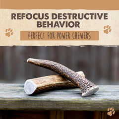 Mighty Paw elk-antlers natural-1-ingredient – no additives, promotes natural chewing experience.