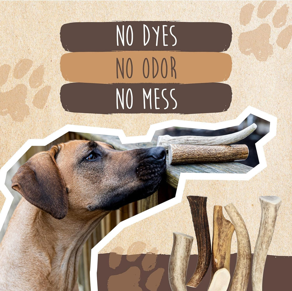 Mighty Paw elk-antlers natural-1-ingredient – single-ingredient chew with no added flavors.