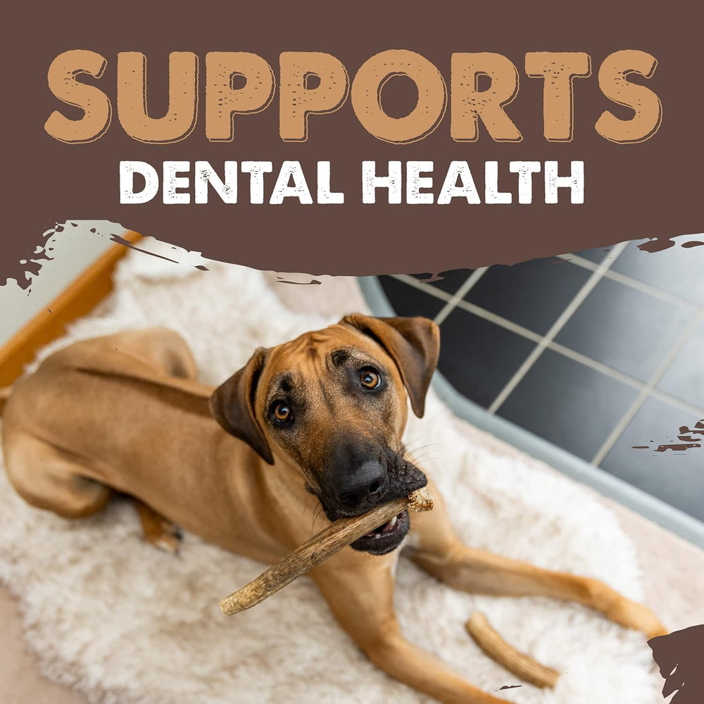 Mighty Paw elk-antlers-variety-shapes – each chew differs in size and density.