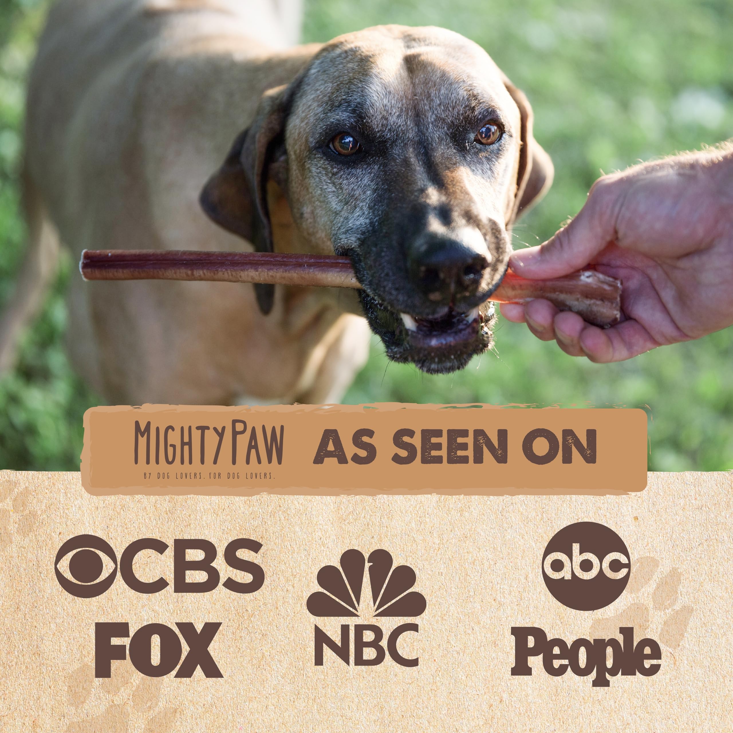 Mighty Paw grass-fed beef chew visuals emphasize single-ingredient nutrition.