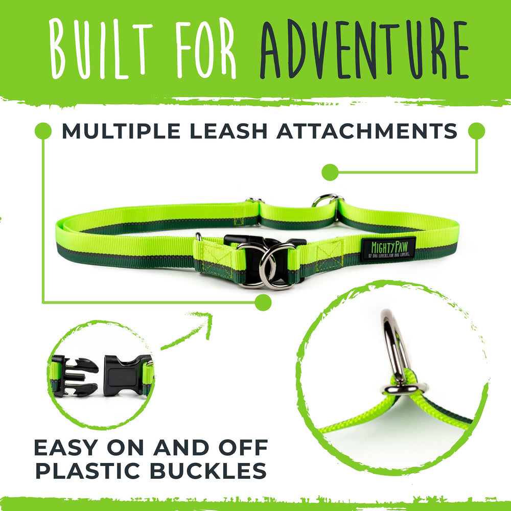 Mighty Paw Hands Free Dog Leash 3-foot bungee portion demonstrates compact reach for active pups