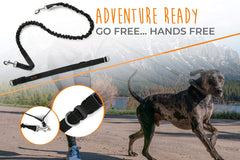 Mighty Paw hands-free leash adjustable waist for a secure fit