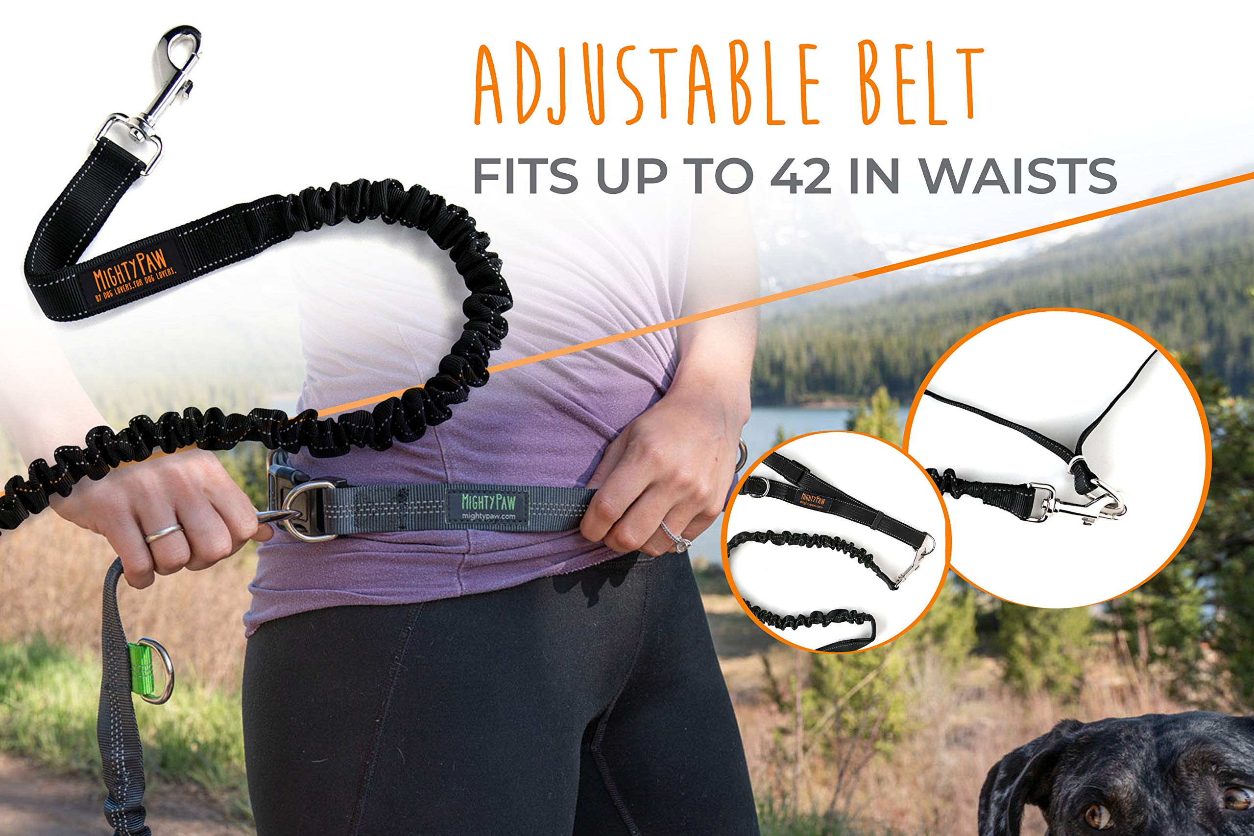 Mighty Paw hands-free leash clip close-up showing secure connection