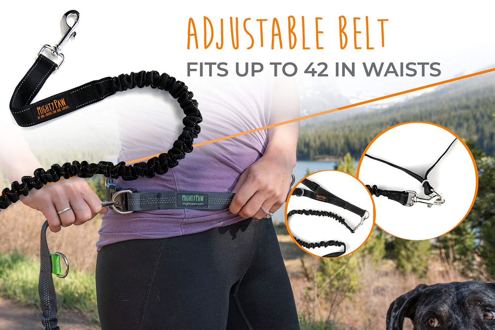 Mighty Paw hands-free leash clip close-up showing secure connection