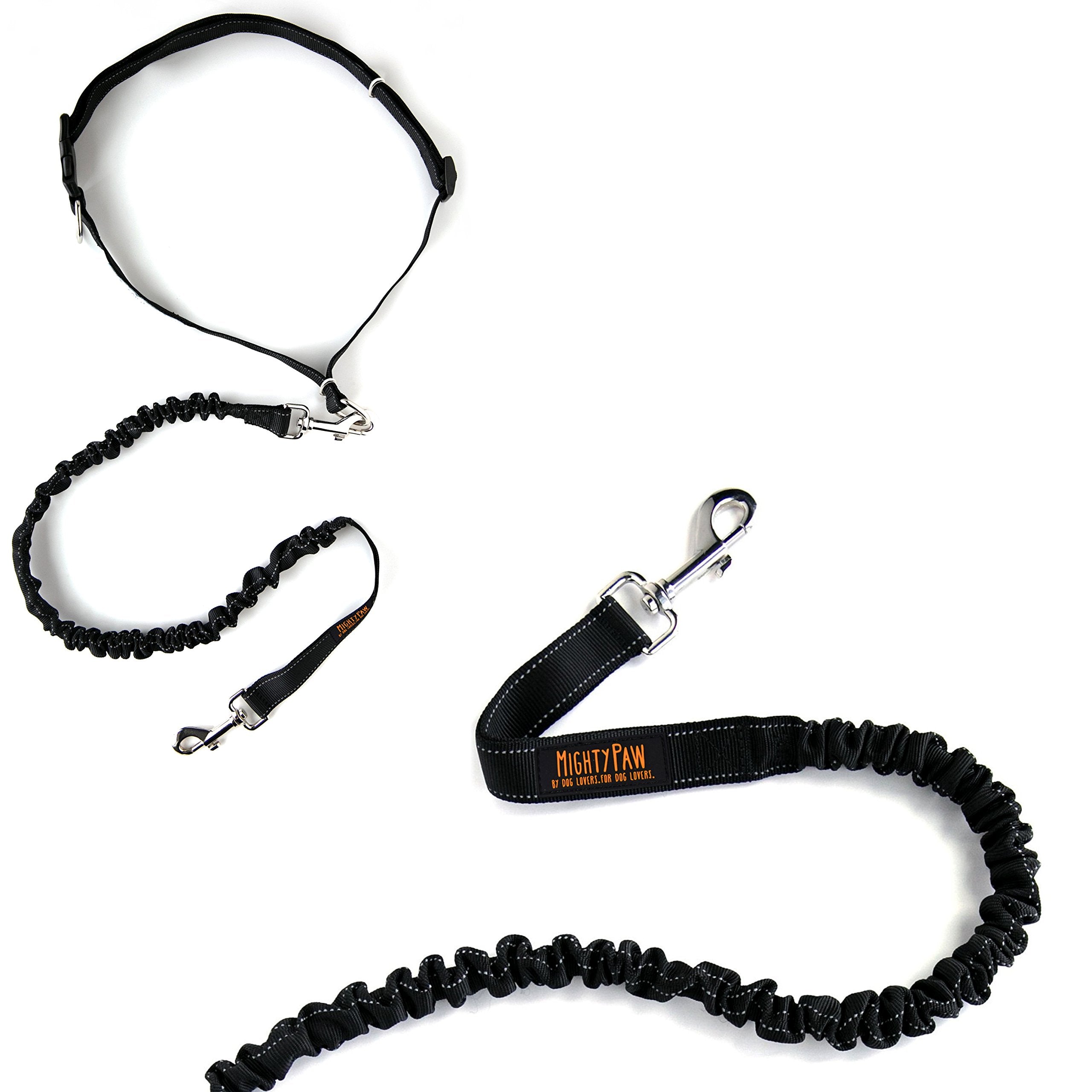 Mighty Paw hands-free leash on a walk offering comfortable hands-free control