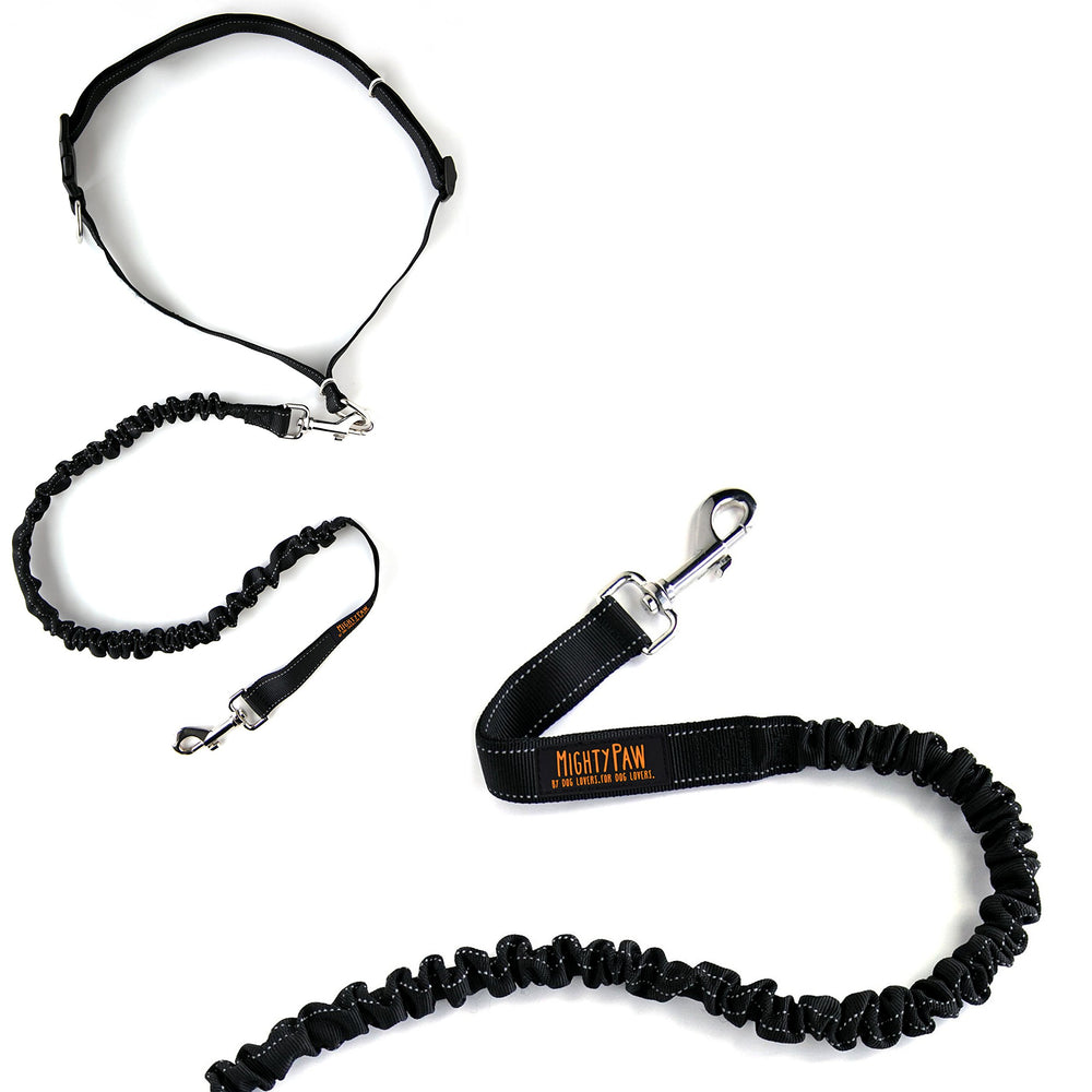 Mighty Paw hands-free leash on a walk offering comfortable hands-free control