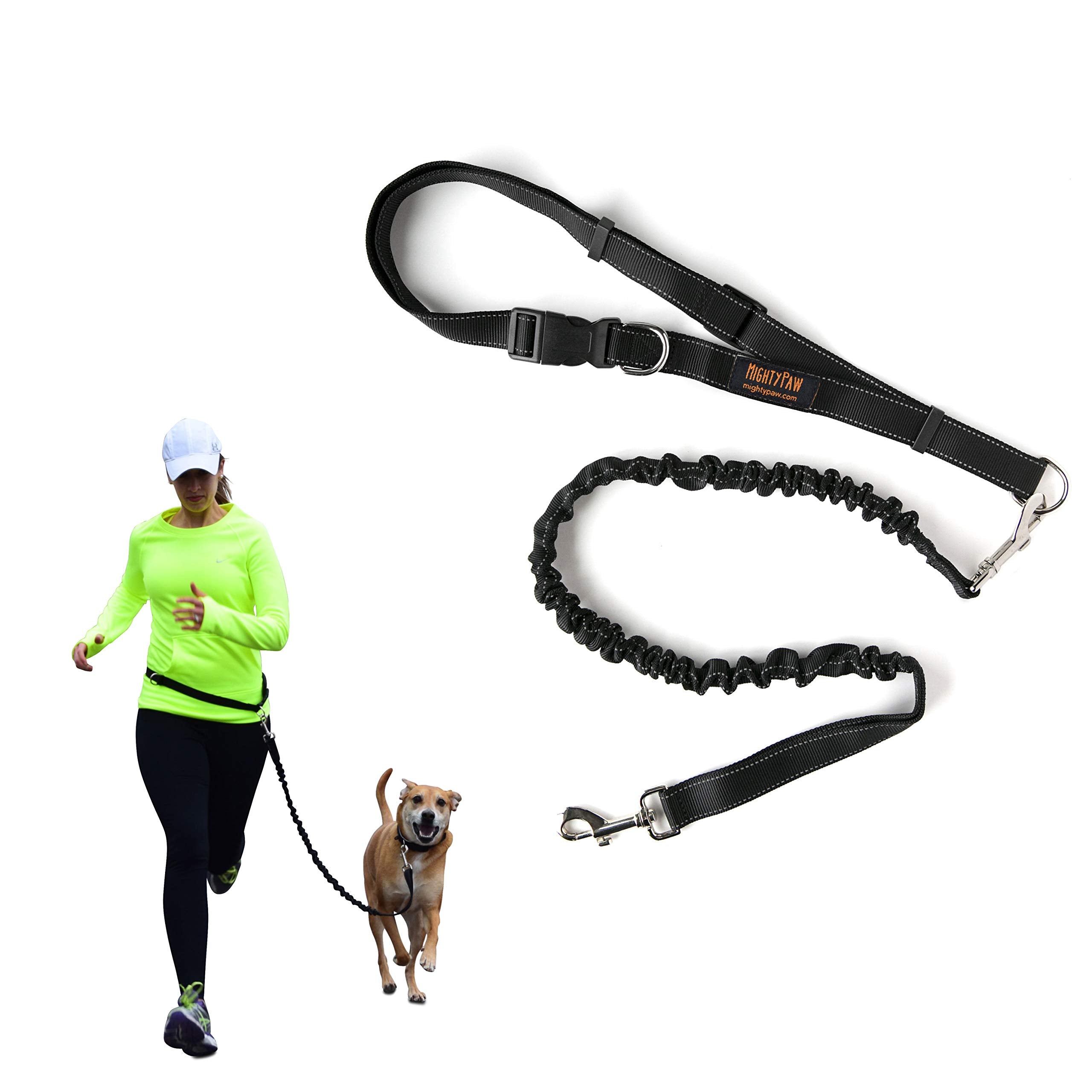 Mighty Paw hands-free leash compact storage design for travel