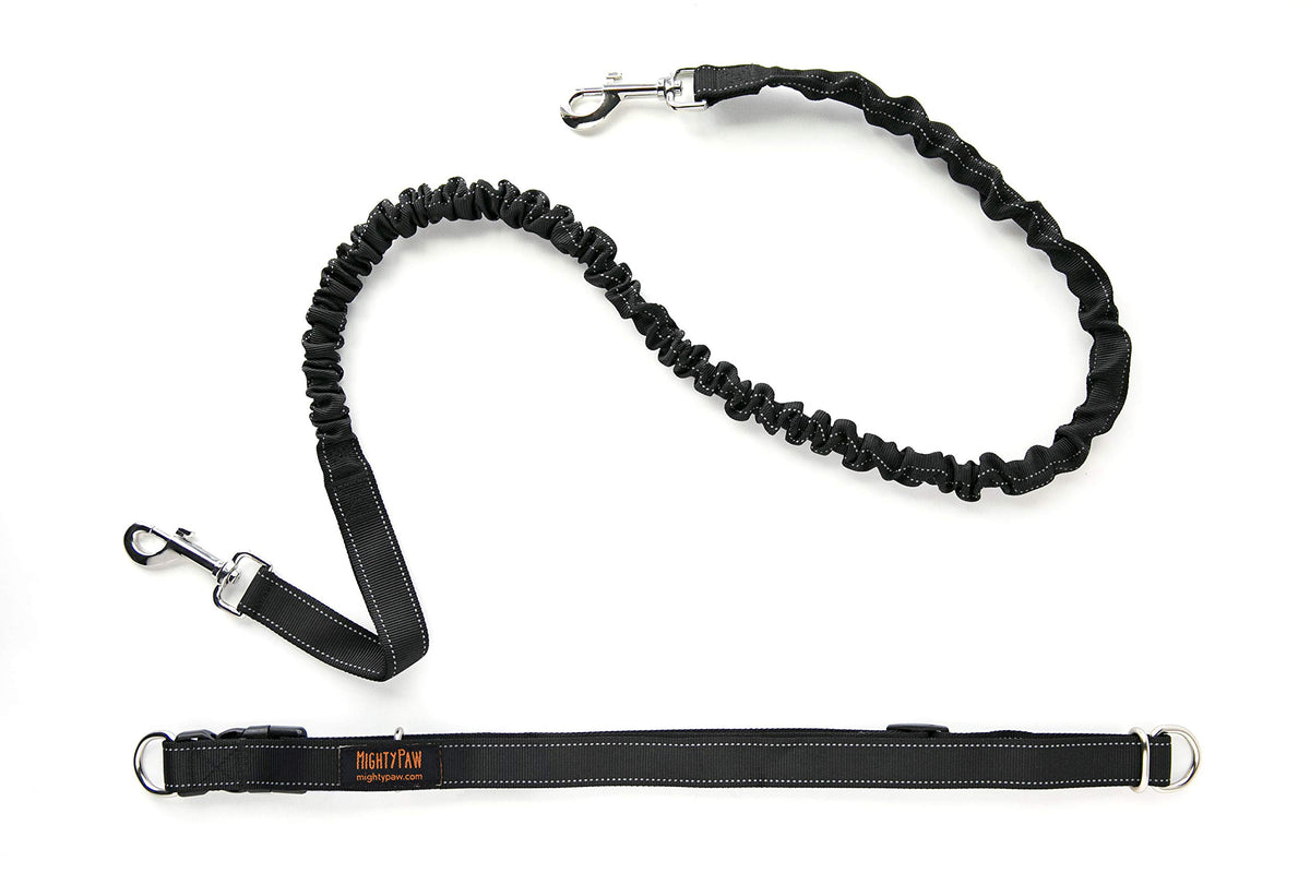 Mighty Paw hands-free leash waist belt setup for comfortable hands-free walks
