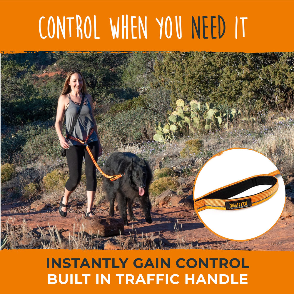Mighty Paw large dog walk hands-free reduces strain on posture.
