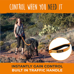 Mighty Paw large dog walk hands-free reduces strain on posture.