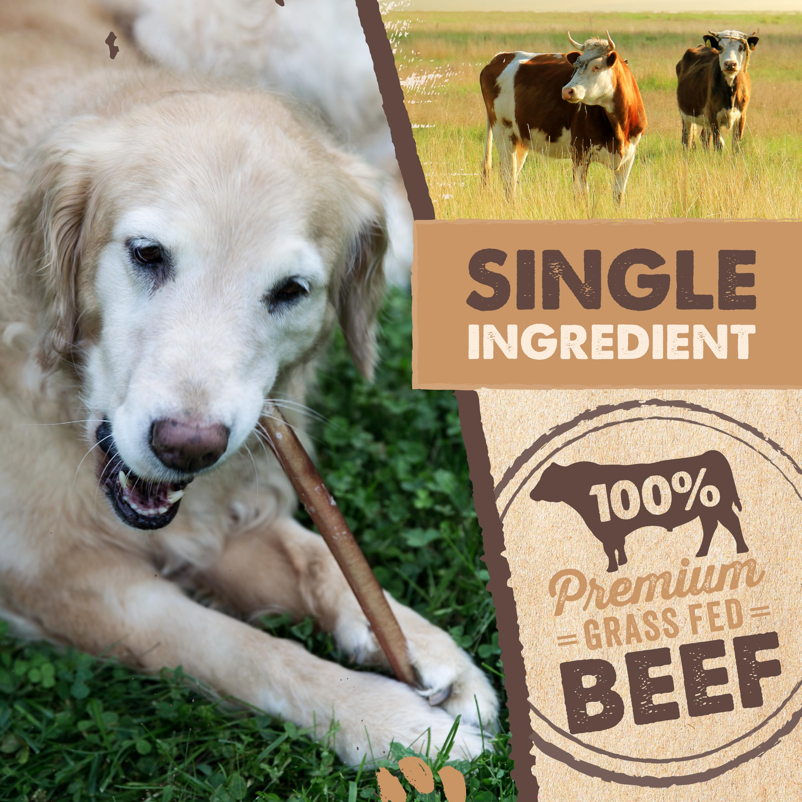 Mighty Paw lower-odor bully sticks package highlights cleaner home use.