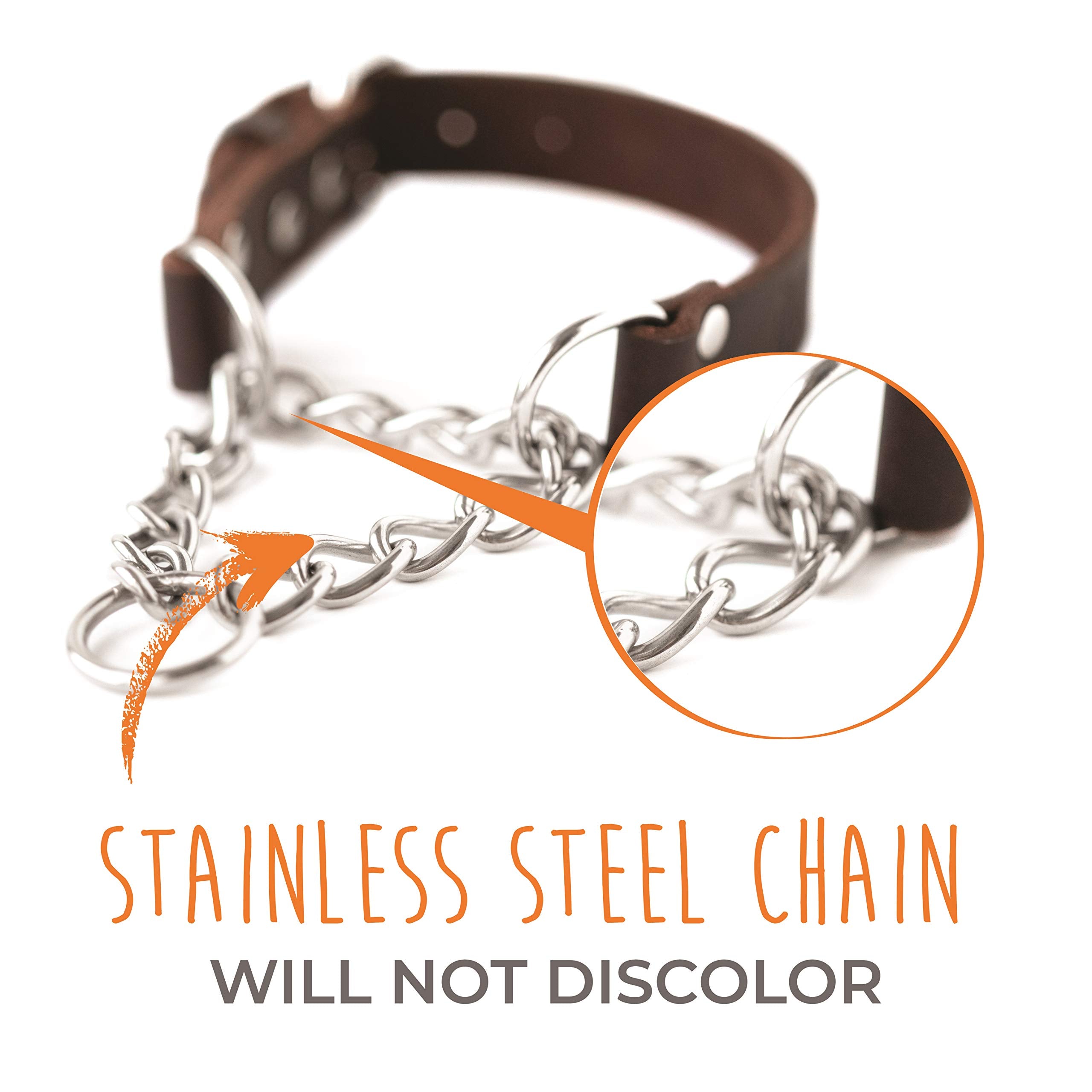 Mighty Paw Martingale limited cinch action demonstrates gentle correction