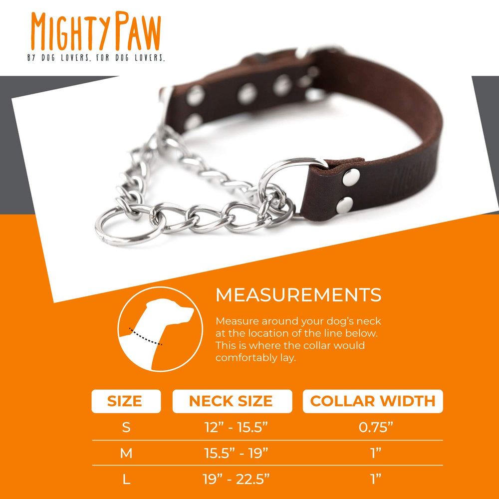 Mighty Paw Martingale training session shows effective cues for dogs