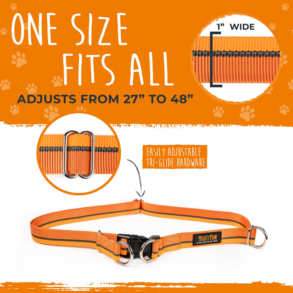 Mighty Paw medium-dog walk hands-free keeps you balanced on sidewalks.