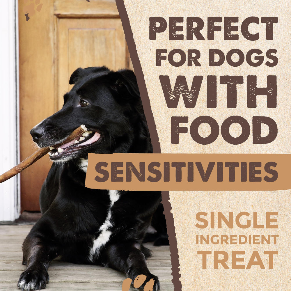 Mighty Paw Naturals bully sticks 25-pack count shot for bulk value