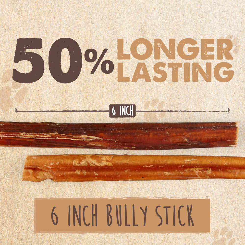 Mighty Paw Naturals bully sticks pack display emphasizing 6in length and pack value