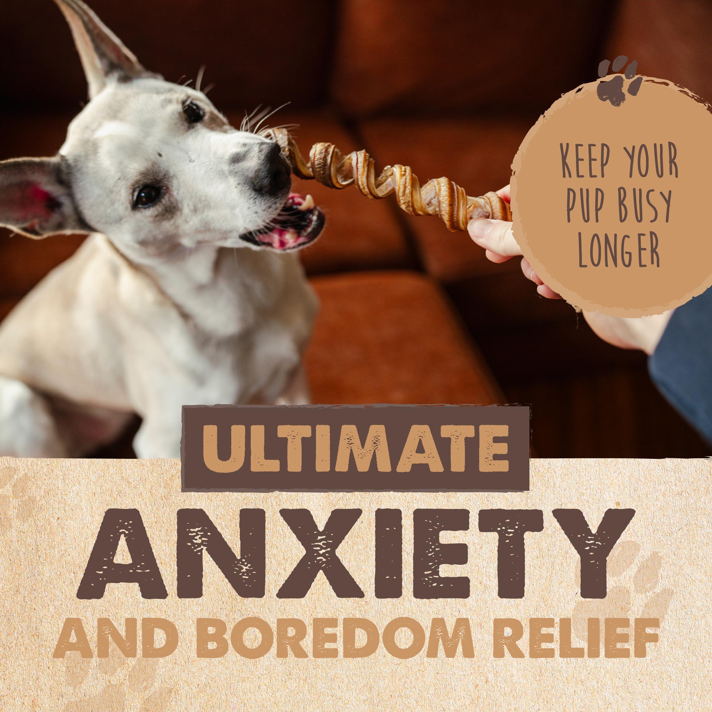 Mighty Paw Naturals Curly Bully Sticks para perros medianos