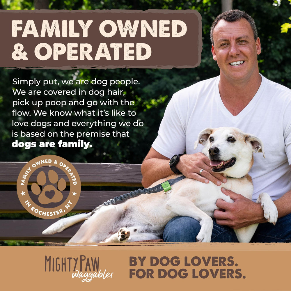 Mighty Paw Naturals dog enjoying elk antler chew shows enrichment during playtime