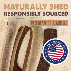 Mighty Paw Naturals elk-antler texture close-up emphasizing durability during tough jaws