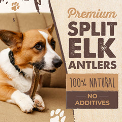 Mighty Paw Naturals USA-sourced elk antler image highlights natural, long-lasting chew for dogs