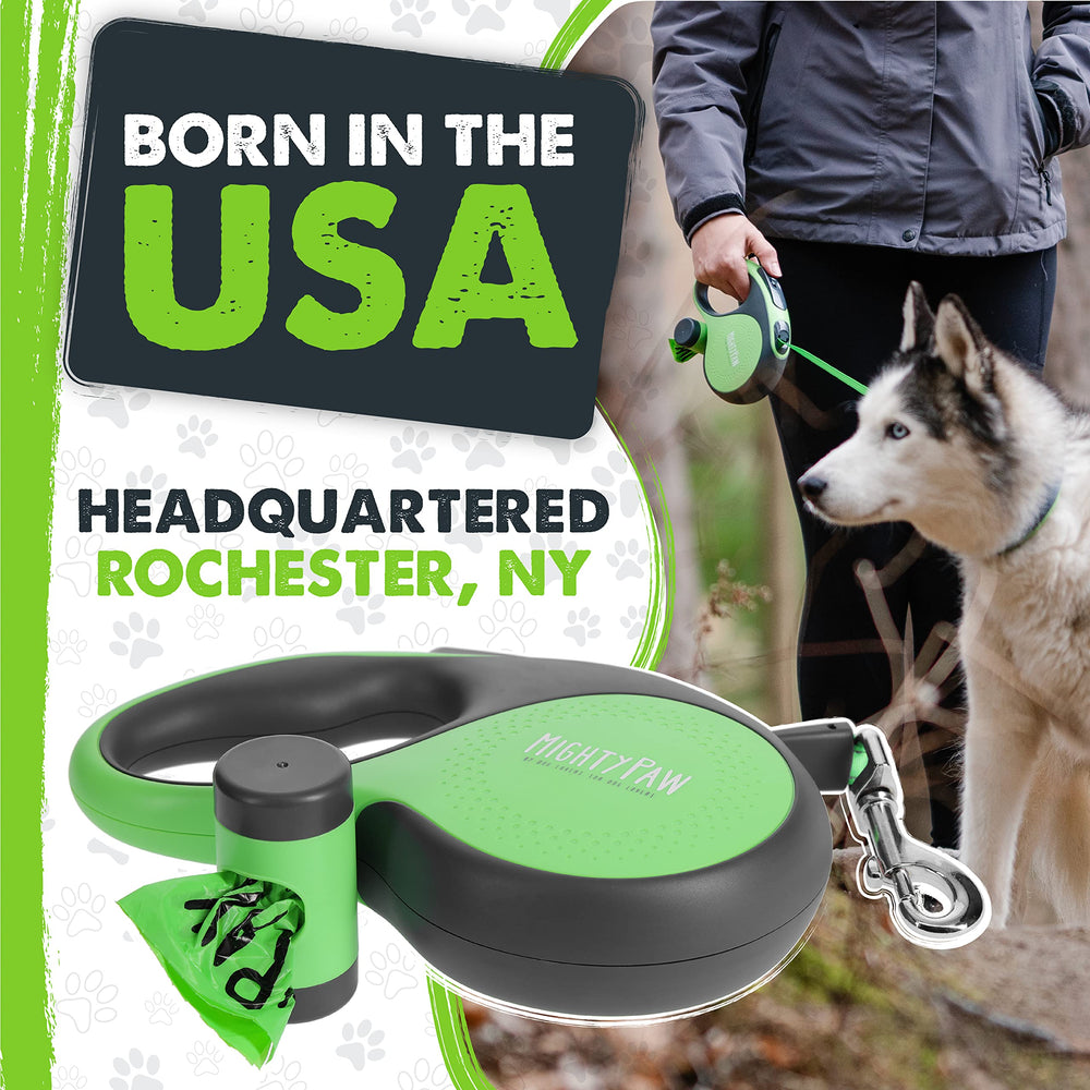 Mighty Paw leash in low-light use with night visibility features.