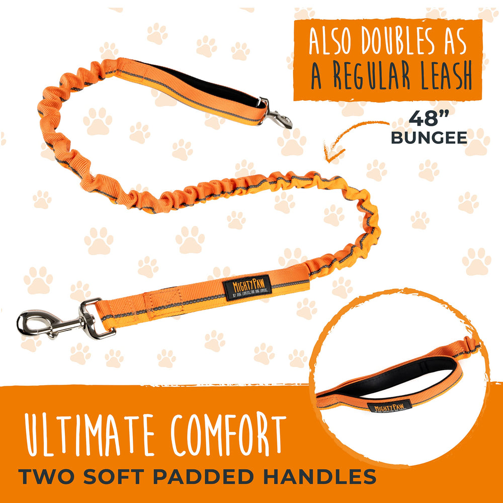 Mighty Paw orange waist belt increases visibility during early morning jogs.