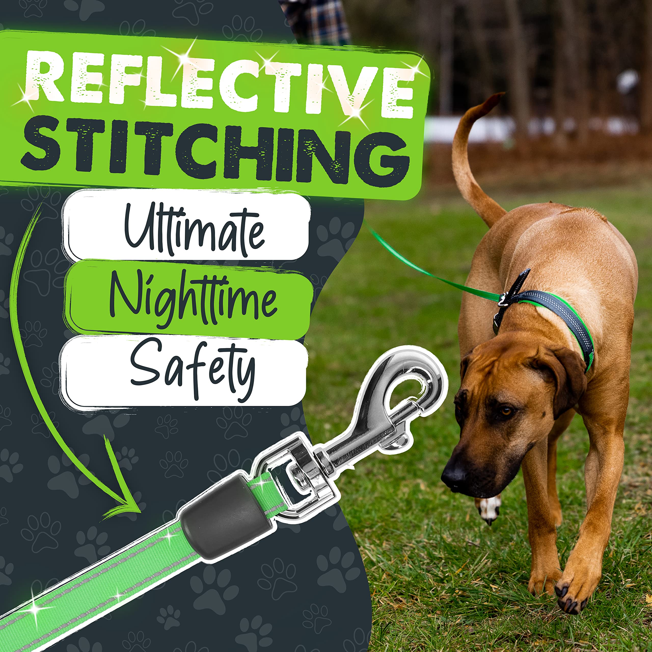 Mighty Paw built-in poop bag holder with bags included.