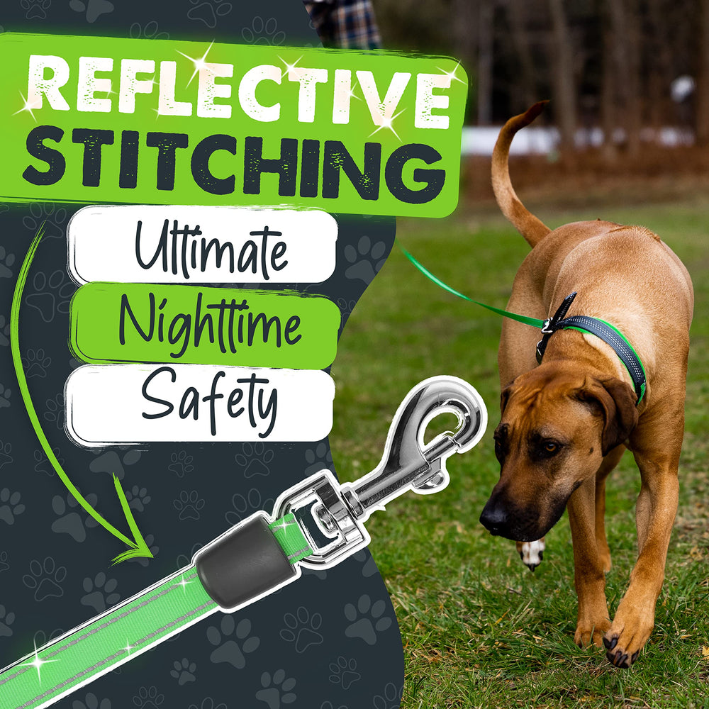 Mighty Paw built-in poop bag holder with bags included.