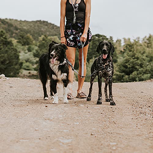 Mighty Paw reflective stitching boosts safety during dawn and dusk strolls.