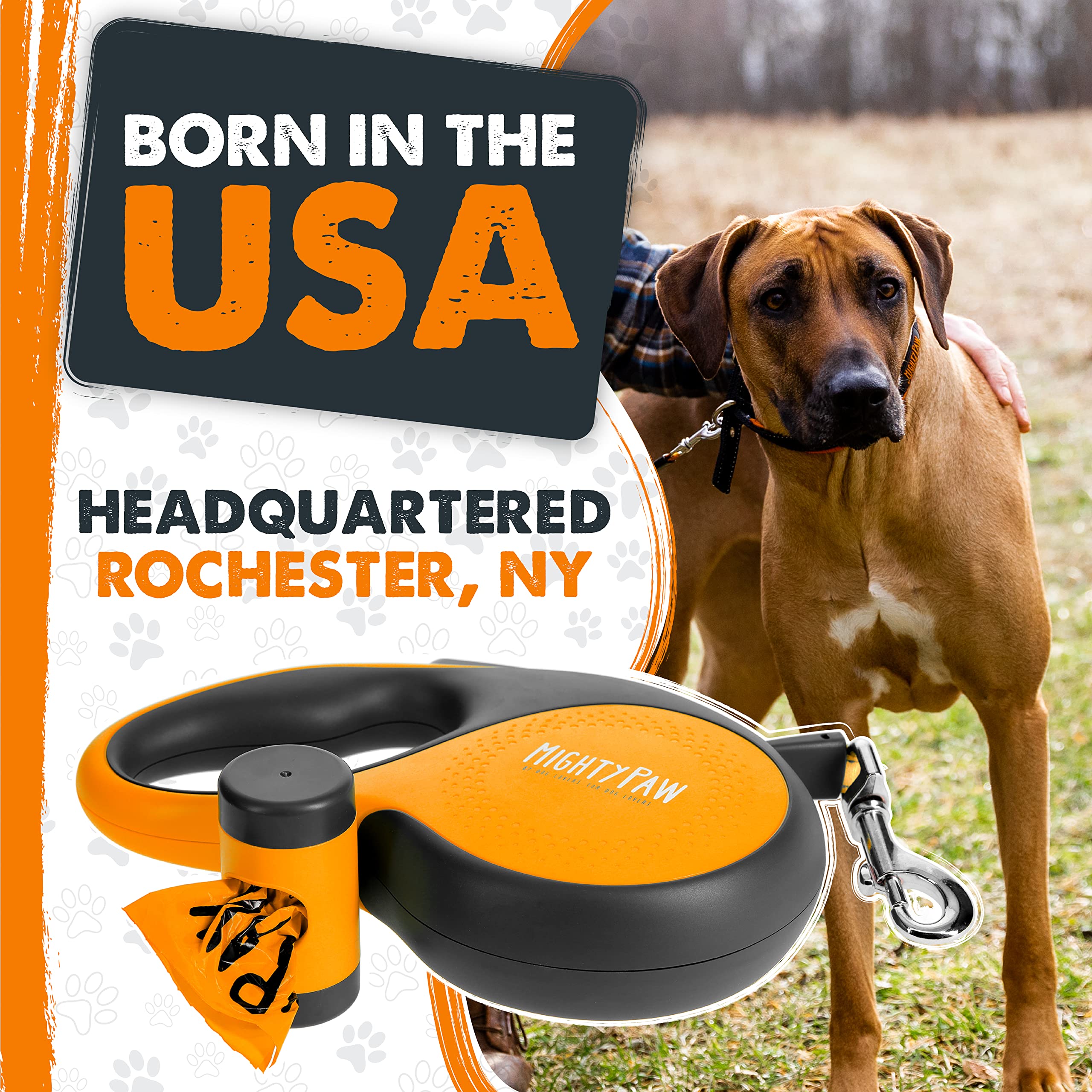 Mighty Paw leash offers heavy-duty performance for large dogs.