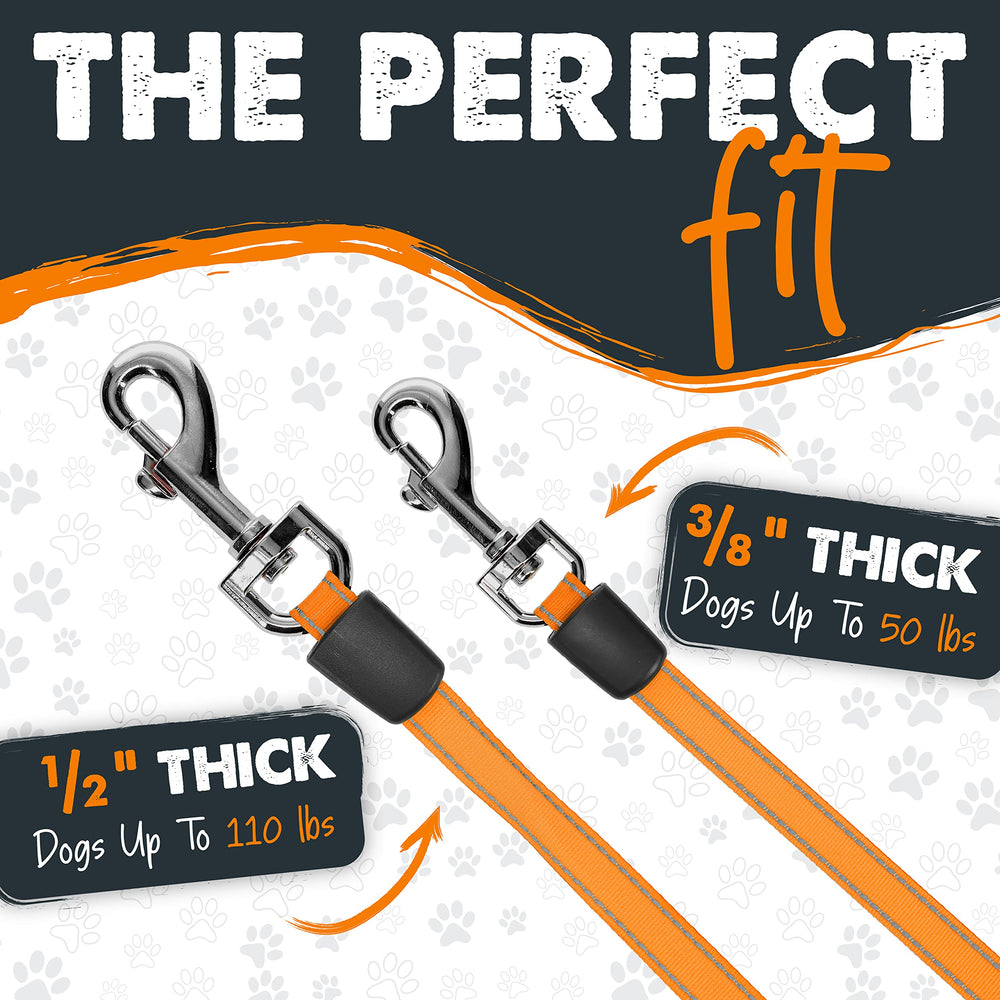 Mighty Paw leash highlights durable stainless steel coil to reduce jams.