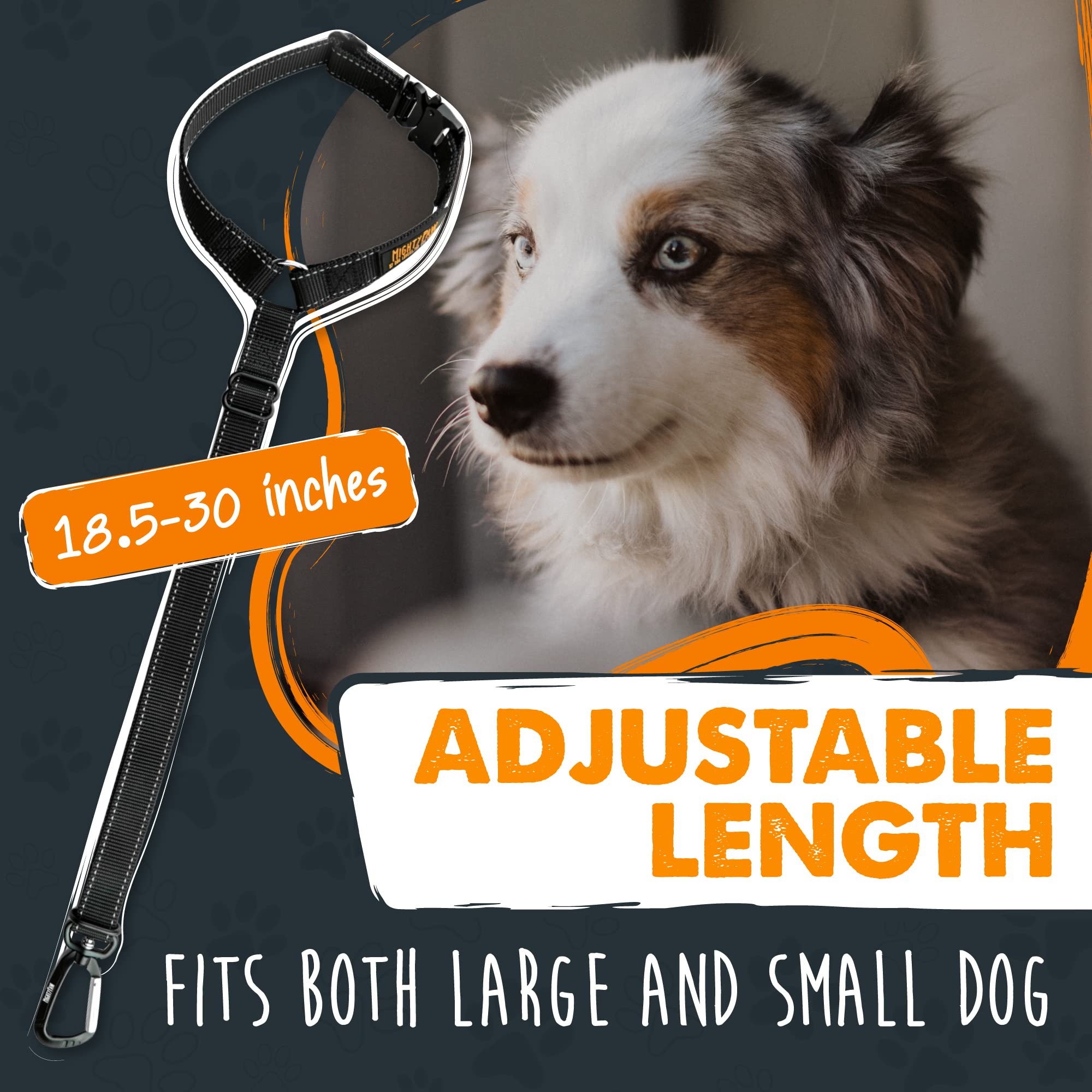 Mighty Paw safety regulations pairing with harness enhances in-car safety compliance.