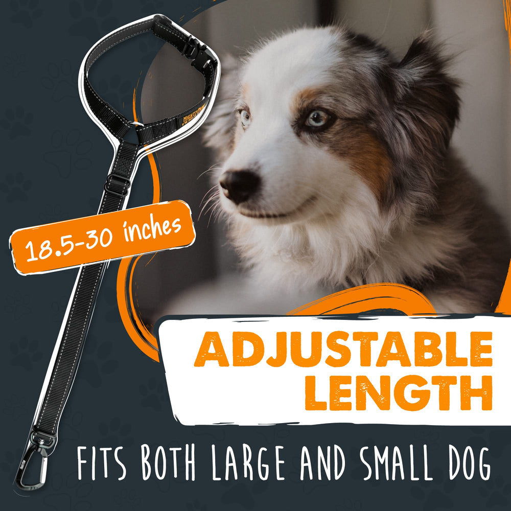 Mighty Paw safety regulations pairing with harness enhances in-car safety compliance.
