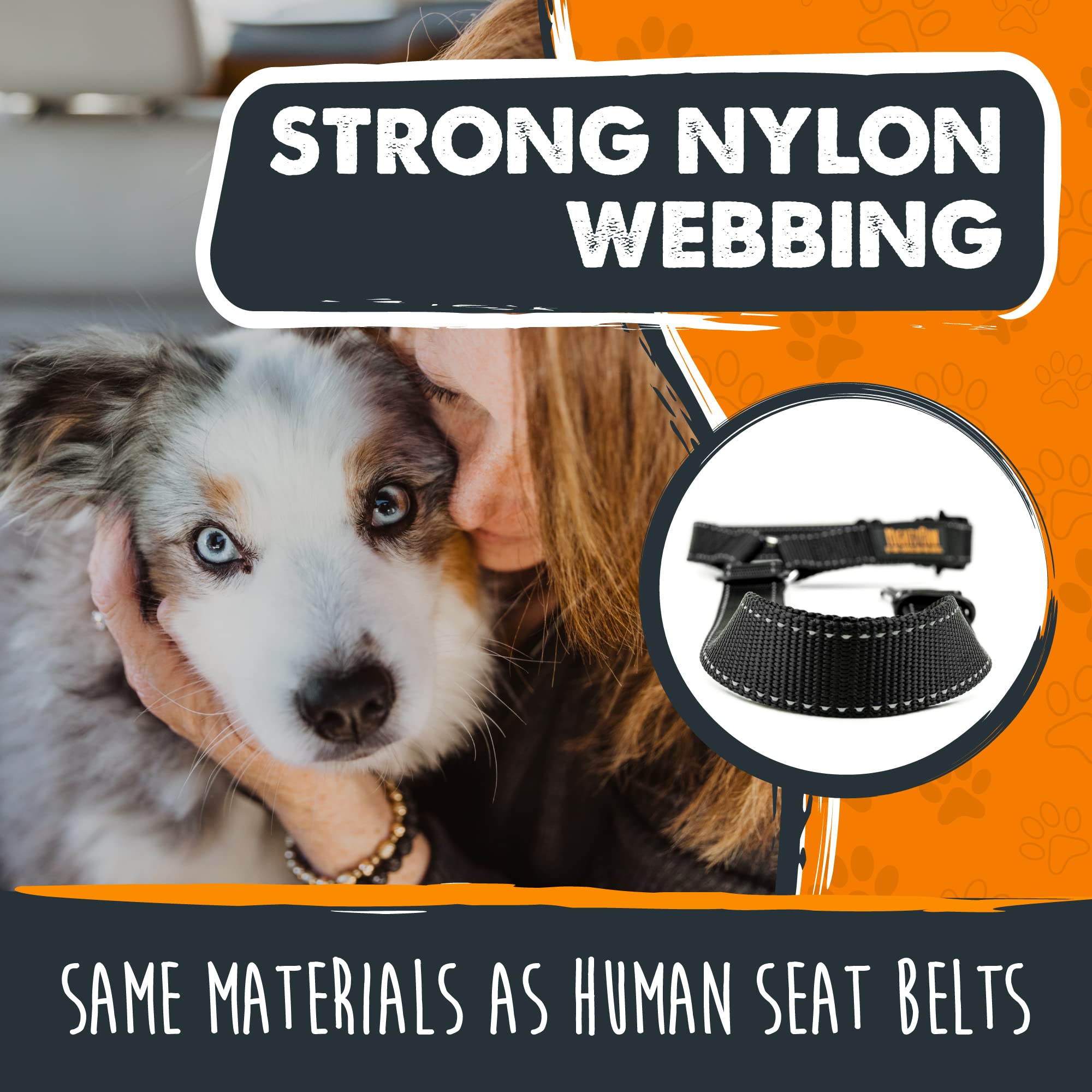 Mighty Paw seat belt outlet installation shows quick, secure car attachment.