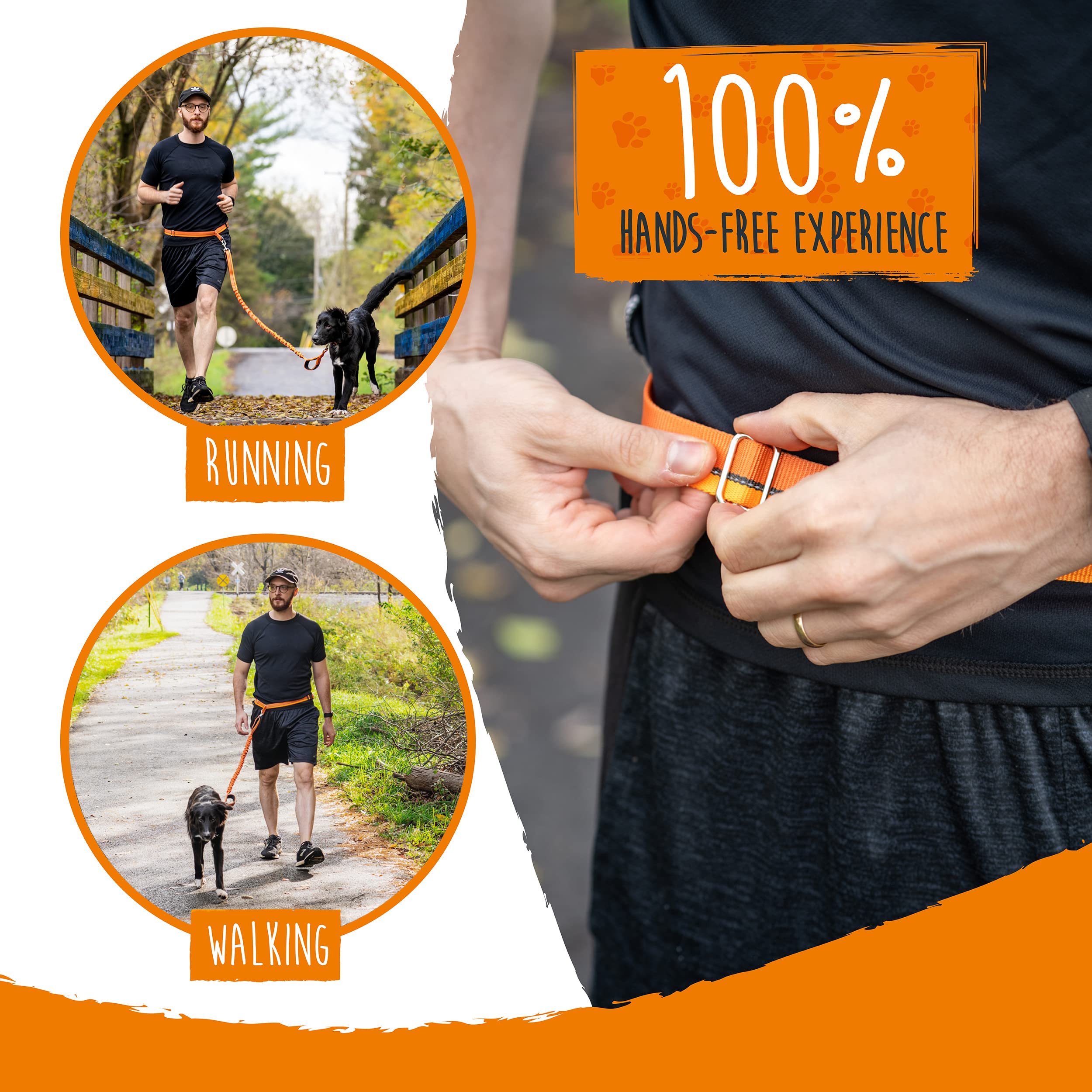 Mighty Paw small-dog walk hands-free makes urban strolls easier.