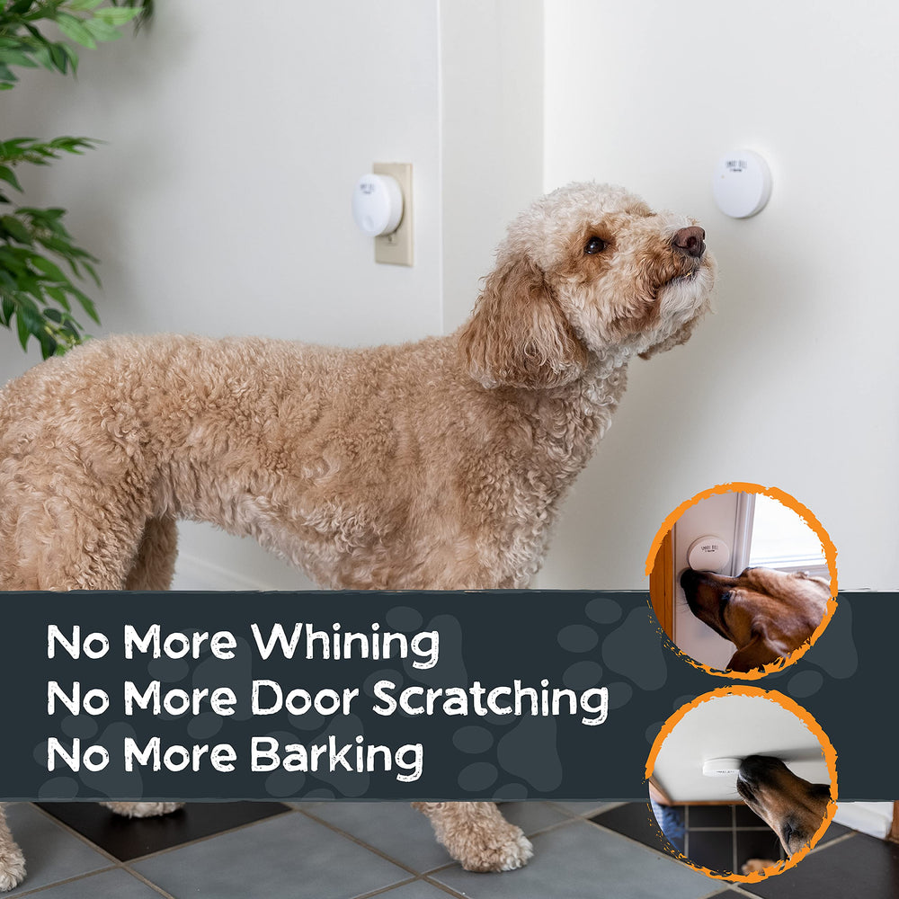Mighty Paw Smart Bell 2.0 buttons show low-pressure actuation for gentle signaling.