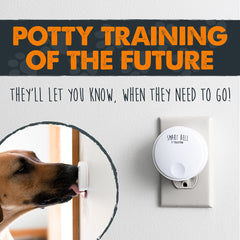 Mighty Paw Smart Bell 2.0 front view highlights dual-button training design.