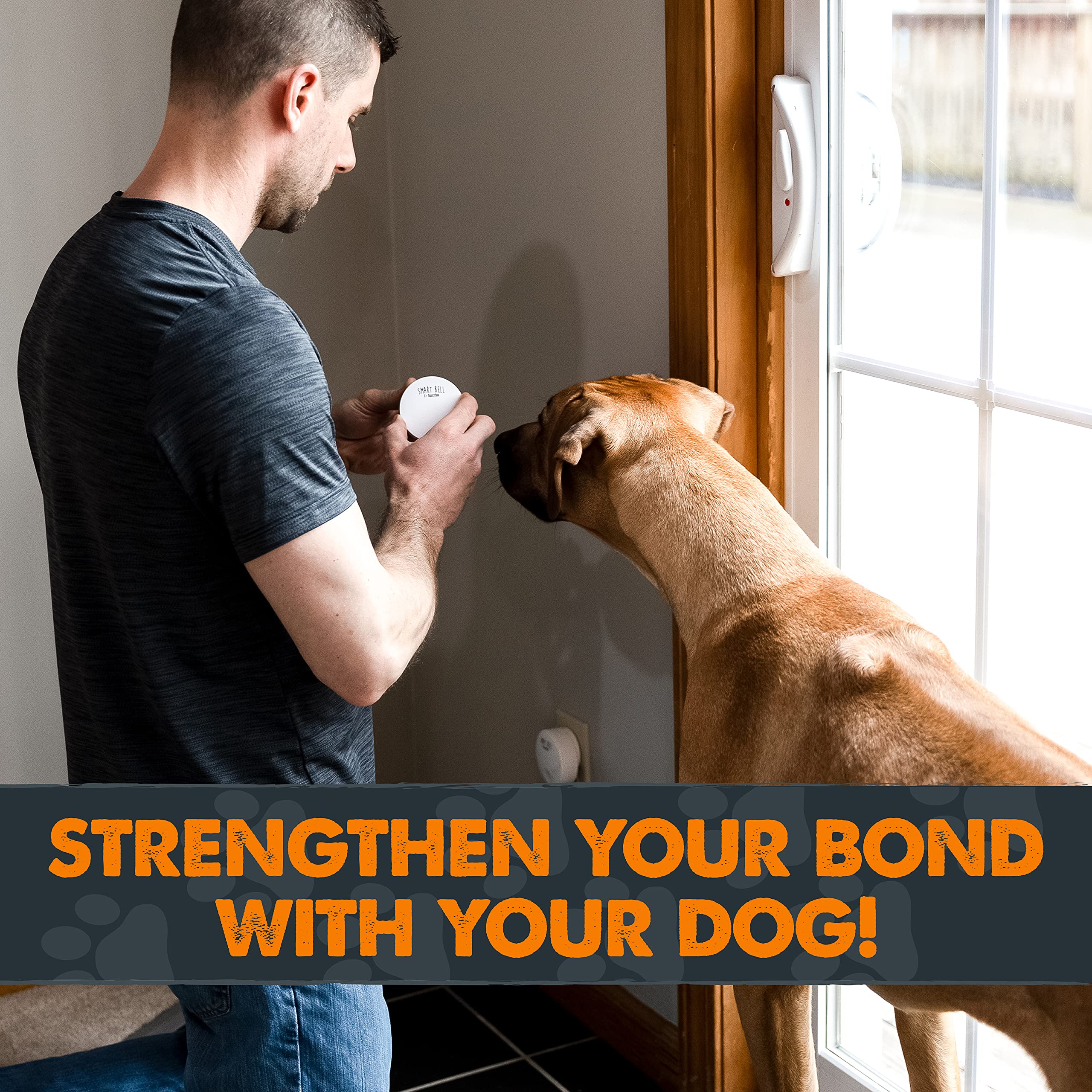 Mighty Paw Smart Bell 2.0 puppy using bell to signal outside.