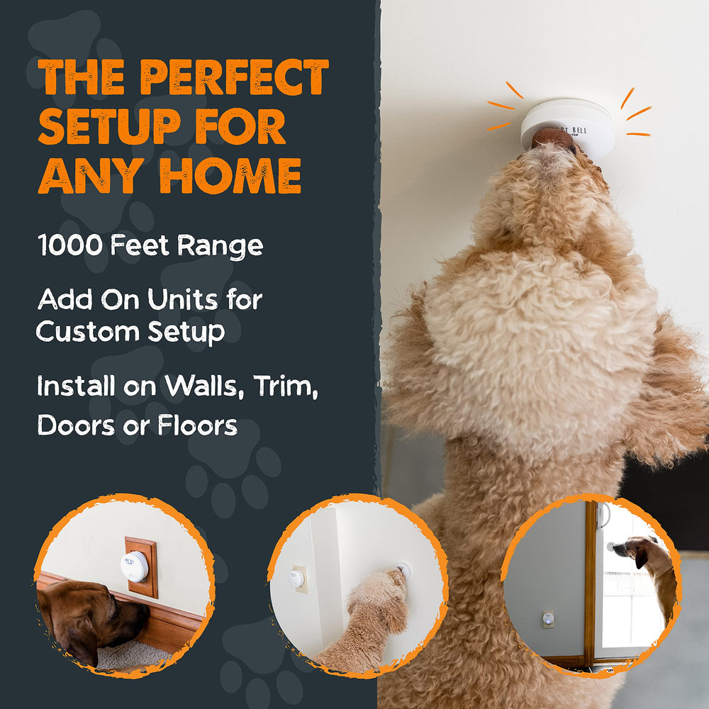 Mighty Paw Smart Bell 2.0 training session with a puppy.