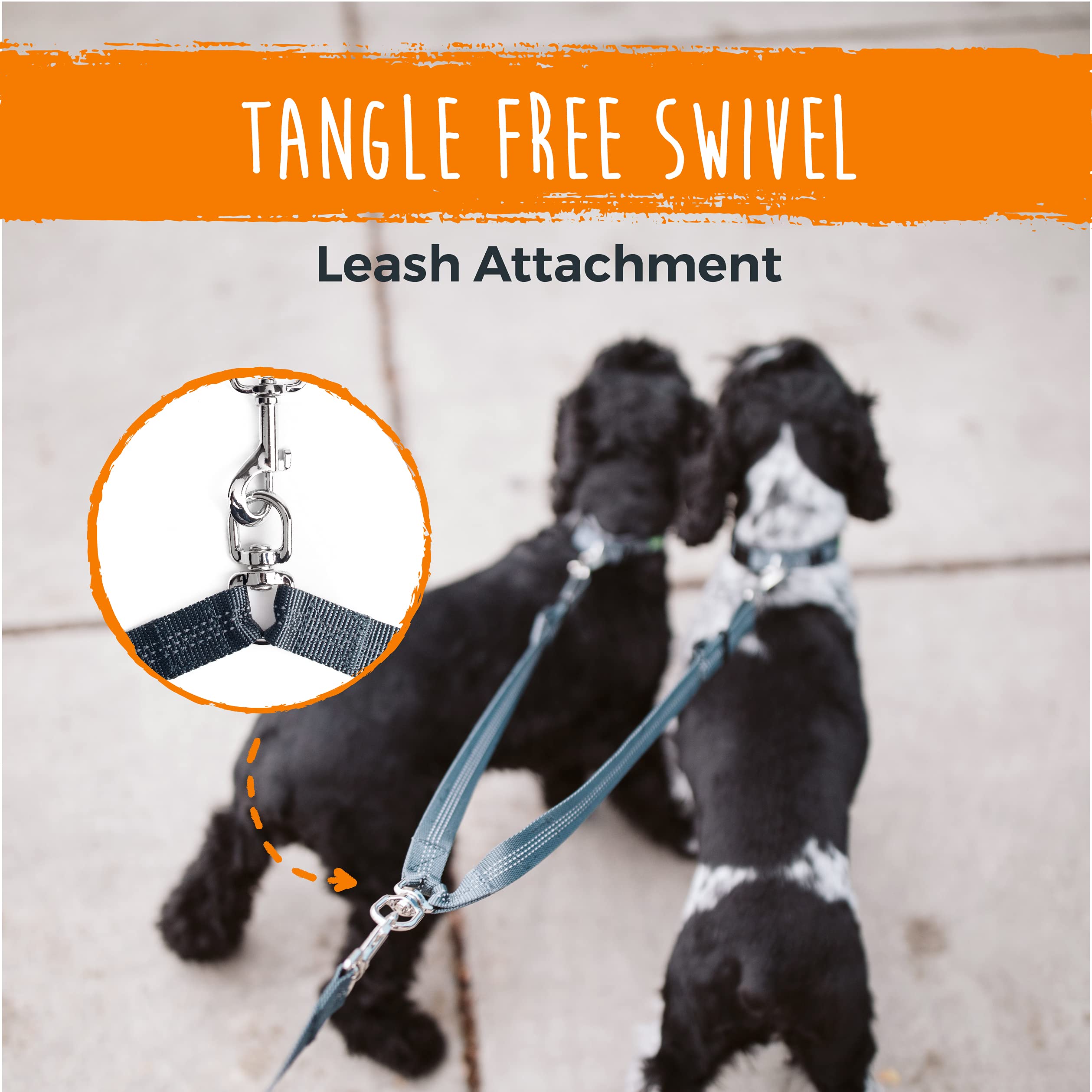 Mighty Paw split lead used with everyday leash for easy two-pet control.