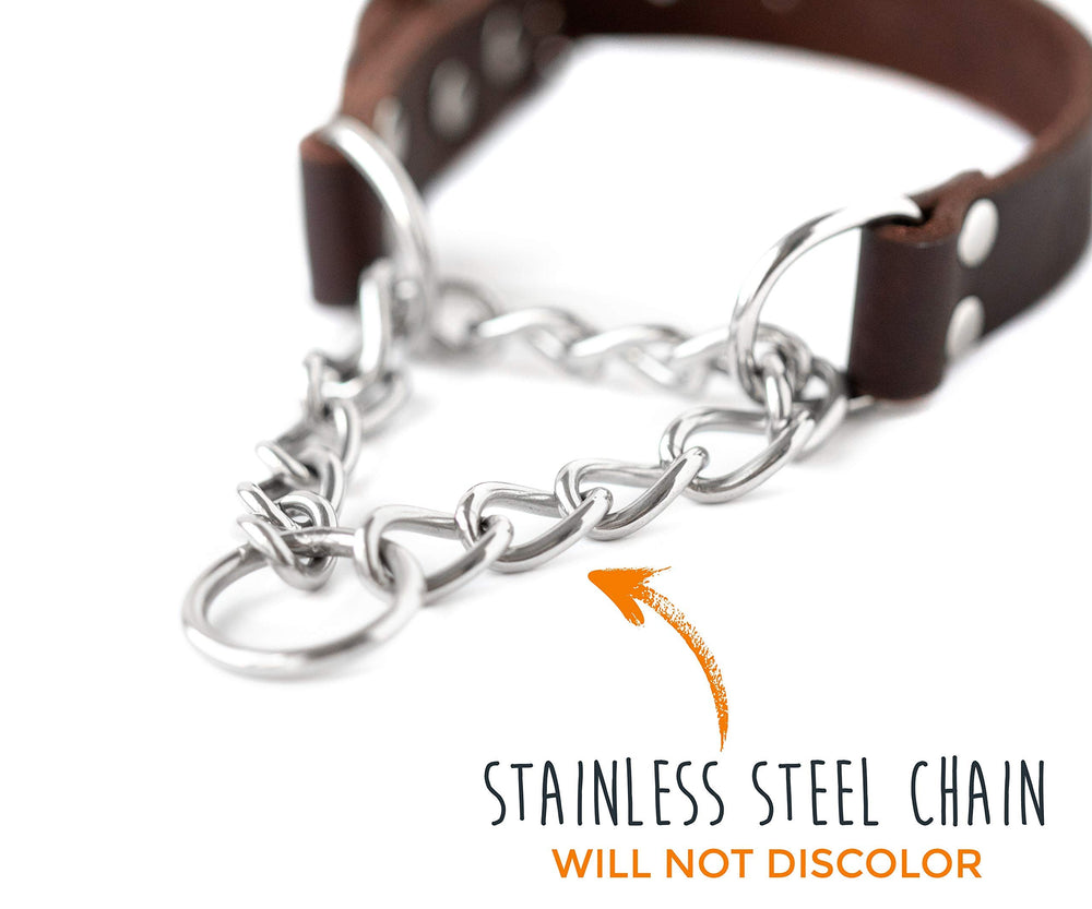 Mighty Paw stainless steel chain martingale close-up highlighting durability