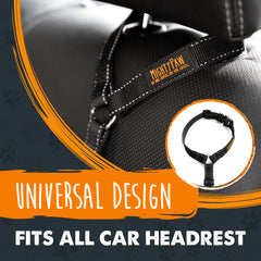 Mighty Paw tangle-free swivel clip demonstrates smooth, tangle-free dog restraint.