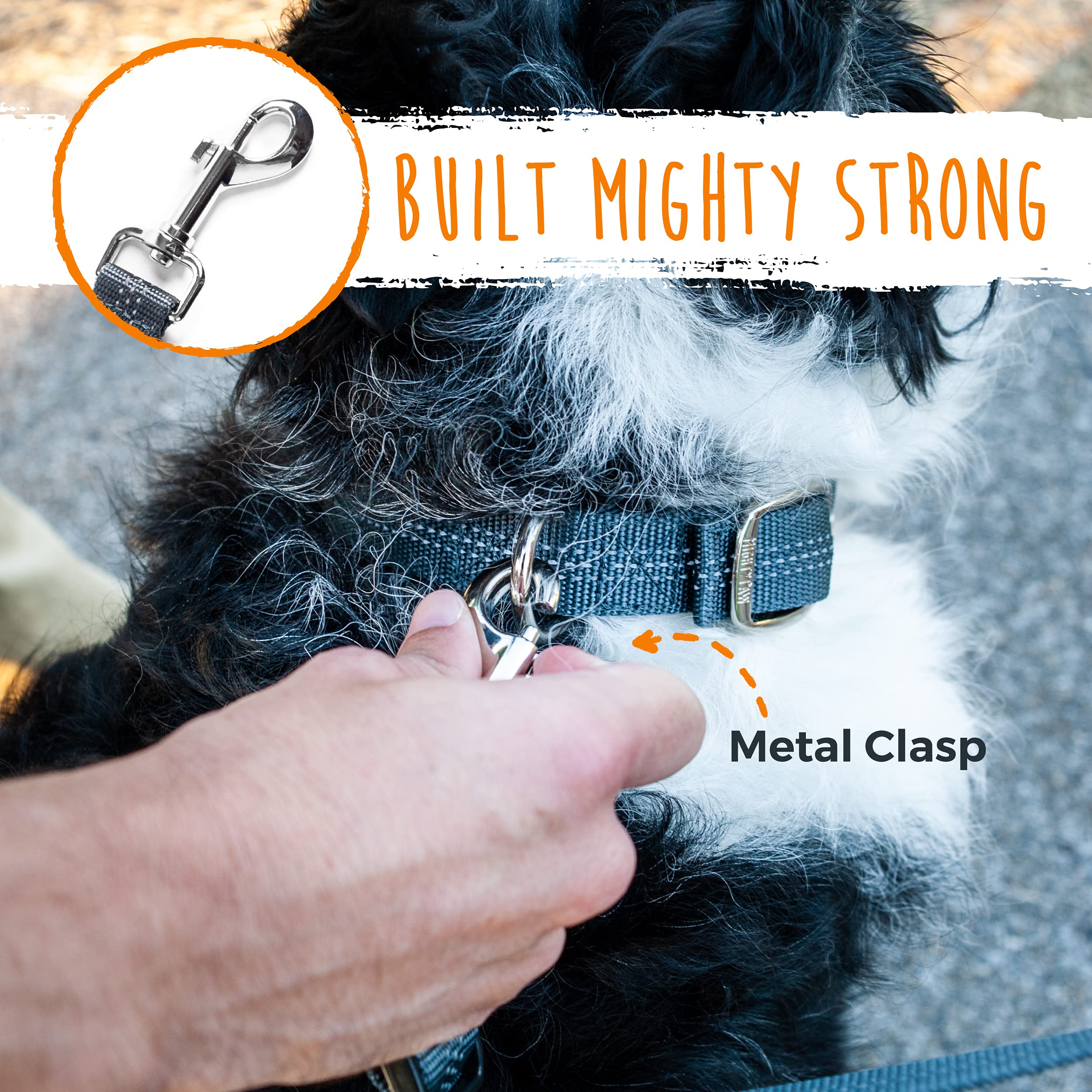 Mighty Paw split-leash design makes walking two dogs easier on crowded sidewalks.
